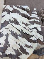 IMG_5229.jpeg