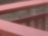 20260619_081310.jpg