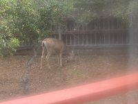 20260619_081539.jpg