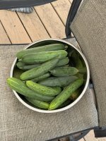 IMG_2041.JPEG