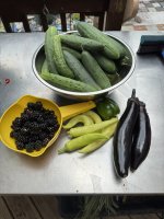 IMG_2042.JPEG