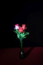 Roses In Vase IMG_0002.jpg