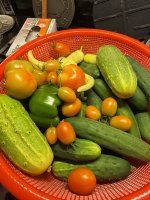 IMG_2102.JPEG
