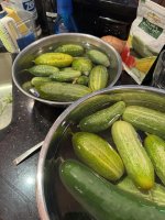 IMG_2107.JPEG