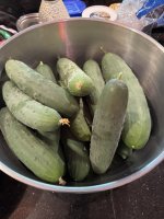 IMG_2105.JPEG