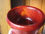 Bloodwood7.JPG