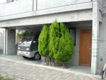 shrubs02.jpg shrubs02.jpg