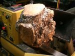 Ash Root Ball Bowl 2 - 05 800.jpg Ash Root Ball Bowl 2 - 05 800.jpg