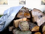 Spalted Maple Stash 2.jpg