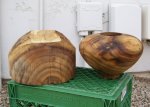 mesquite bowl blanks1.jpg