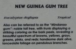 gum tree sign.jpg