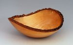 Bowl 060 - 02 800.jpg