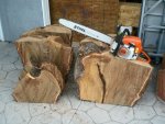 Woodward Elm - 11 800.jpg