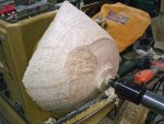 Box Elder Burl Progress - 09 800.jpg