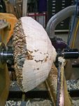 Box Elder Burl Progress - 10 800.jpg