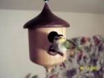 Acorn Birdhouse 1.jpg