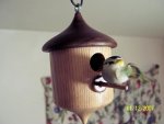 Acorn Birdhouse 2.jpg