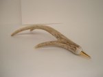 antler I.jpg