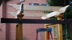 Arbour 34 -Marking location of notches to be cut into a cross beam -small.JPG