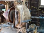 Hickory 6.jpg