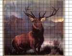 elk grid 1.jpg