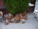 Wood pile-1.jpg