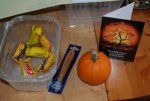 Pumpkin day 025.JPG