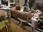 Birdhouse Raw Log 800.jpg
