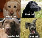 Meth Lab ID Chart.jpg