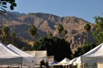 Palm Springs Art Fest 2010 03 - 800.jpg