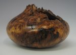 elm-burl-4.jpg