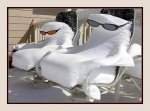 a couple of spies caugt in the blizzard.jpg a couple of spies caugt in the blizzard.jpg