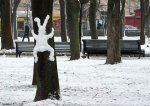 bunny on tree.jpg