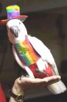 hippy-bird.jpg