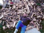 woodpile.jpg