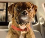 talkingdog.jpg