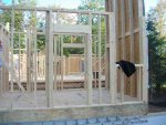 tn_more work 008.JPG