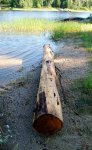 Totem carved at Pellow's Camp 01 -Cedar log for totem on the shore where Gilles Boucher placed i.JPG