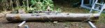 Totem carved at Pellow's Camp 07 -Cedar log has been moved up from the lake and is awaiting plac.JPG