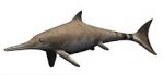 220px-Ichthyosaurus_BW.jpg