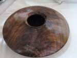 Walnut HF 1.jpg