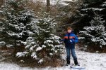 Xmas Tree Farm 2 -Ethan selected this tree -small.JPG