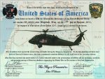 flag cert.jpg flag cert.jpg