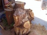 Log-1.jpg