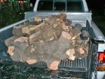 Dunno Wood 2 799T.jpg Dunno Wood 2 799T.jpg