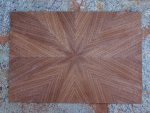 Marquetry-morning-glory-4.jpg