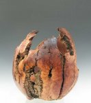 Manzanita Root Burl.jpg