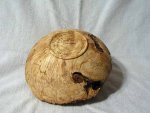 Maple Burl Bot.jpg