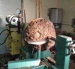 Fir Burl.jpg Fir Burl.jpg