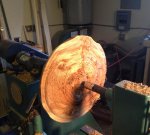 Fir Burl WIP 2.jpg